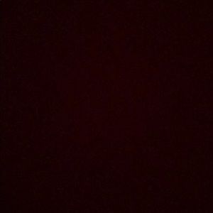 Meet your Posher, Larisa